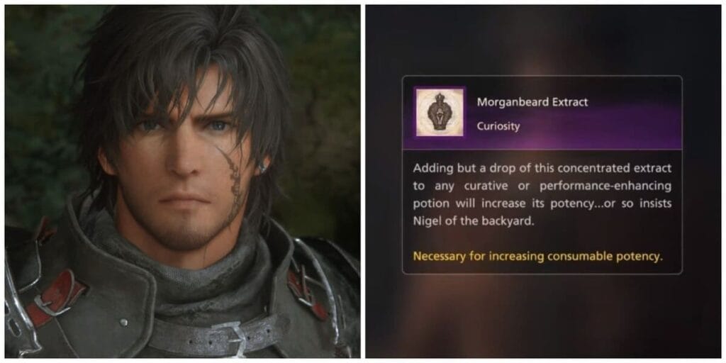 Come usare al meglio le pozioni in Final Fantasy 16