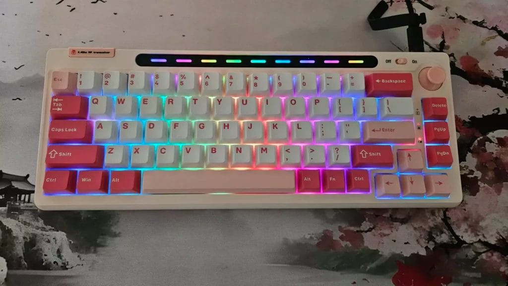 Recensione e Screenshoot della Epomaker RT65