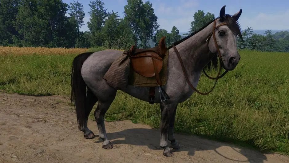 Guida per pulire il cavallo in Kingdom Come Deliverance 2