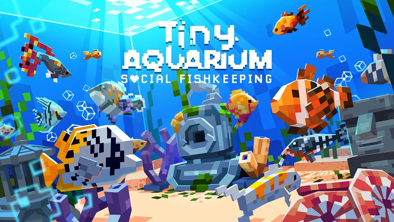 tiny aquarium social fishkeeping recensione l8217acquario che rilassa